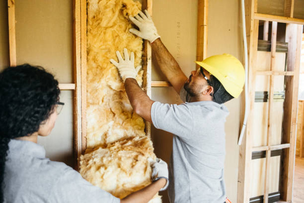 Types of Insulation We Offer in Omao, HI